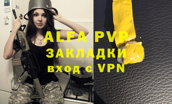 прущие грибы Бугульма