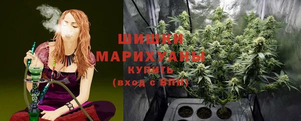 прущие грибы Бугульма