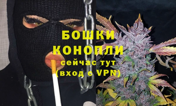 не бодяженный Бородино